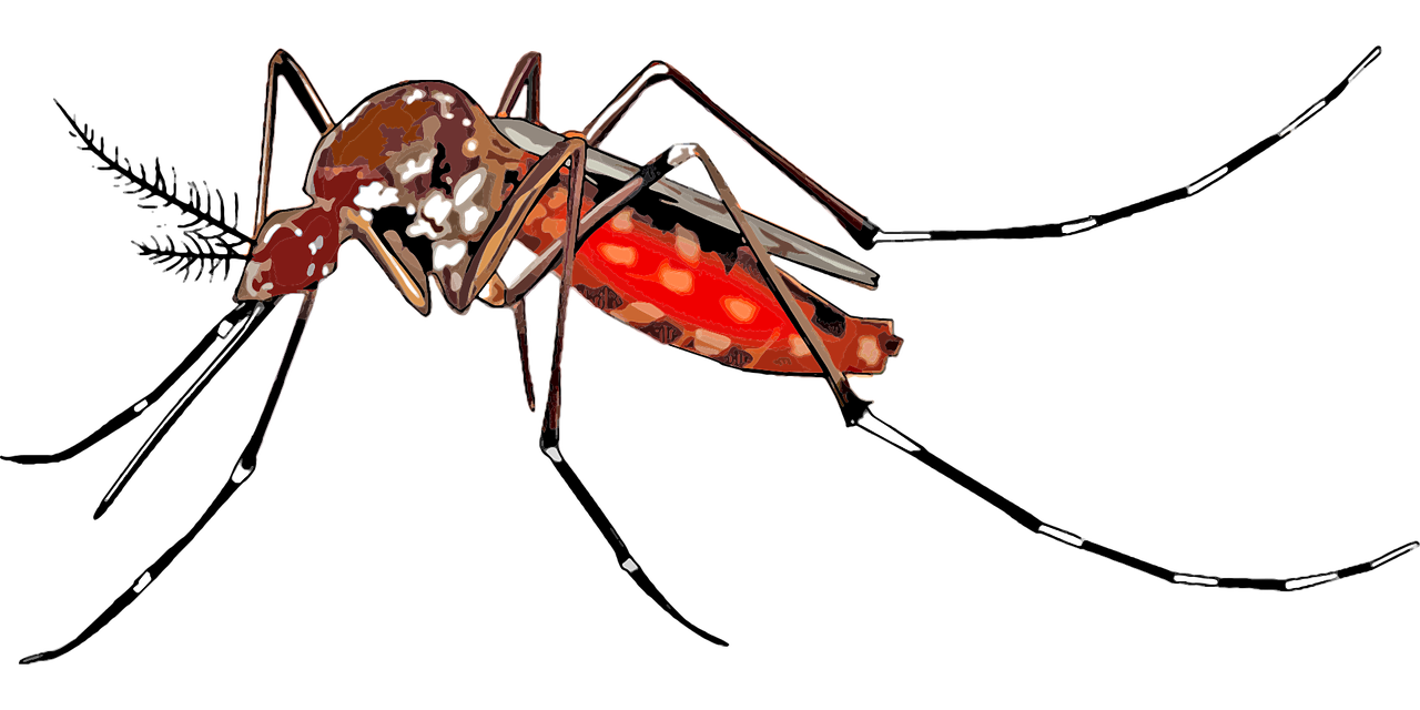 Zika Virus 2017